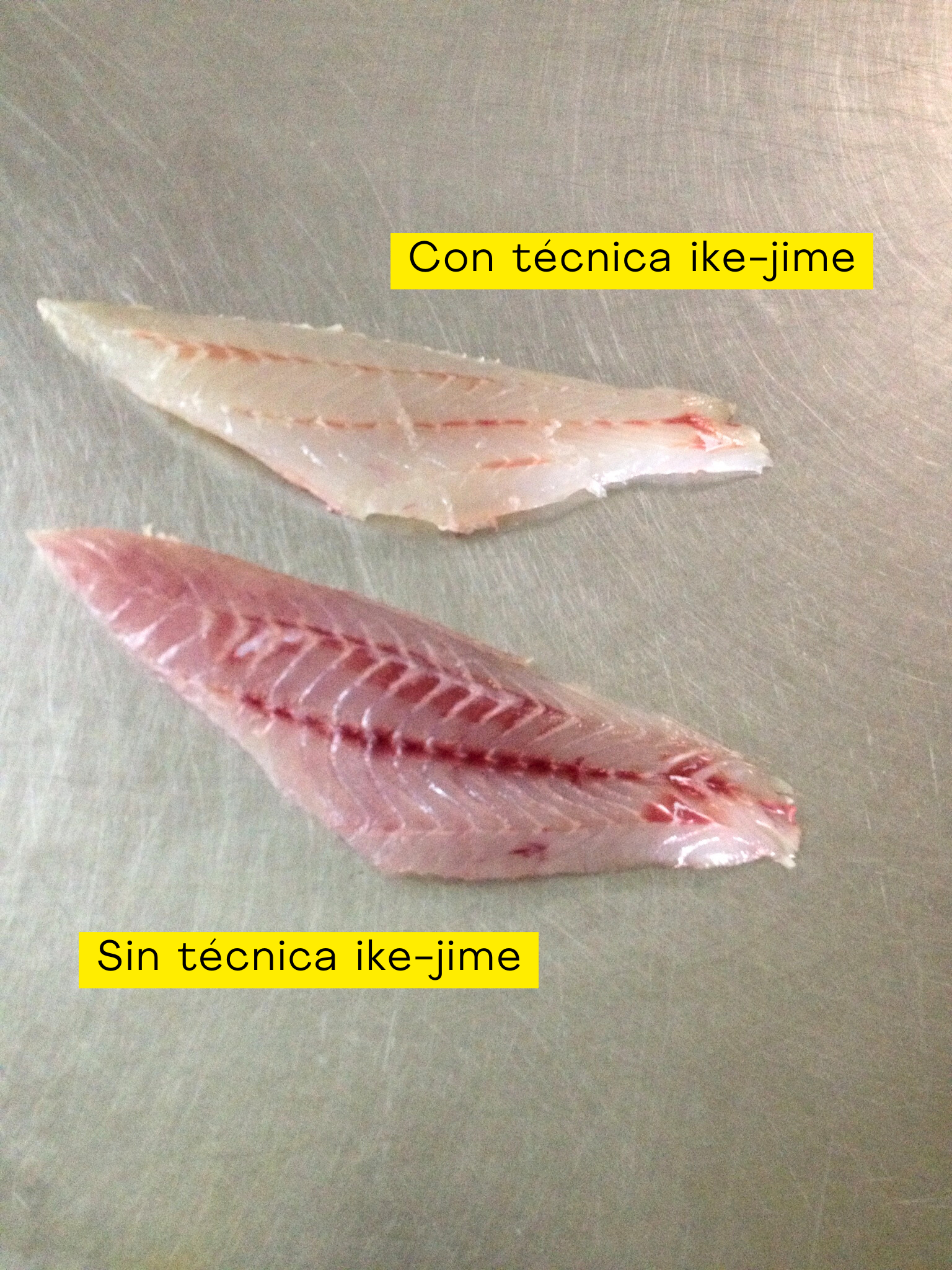 Descripción de tu imagen